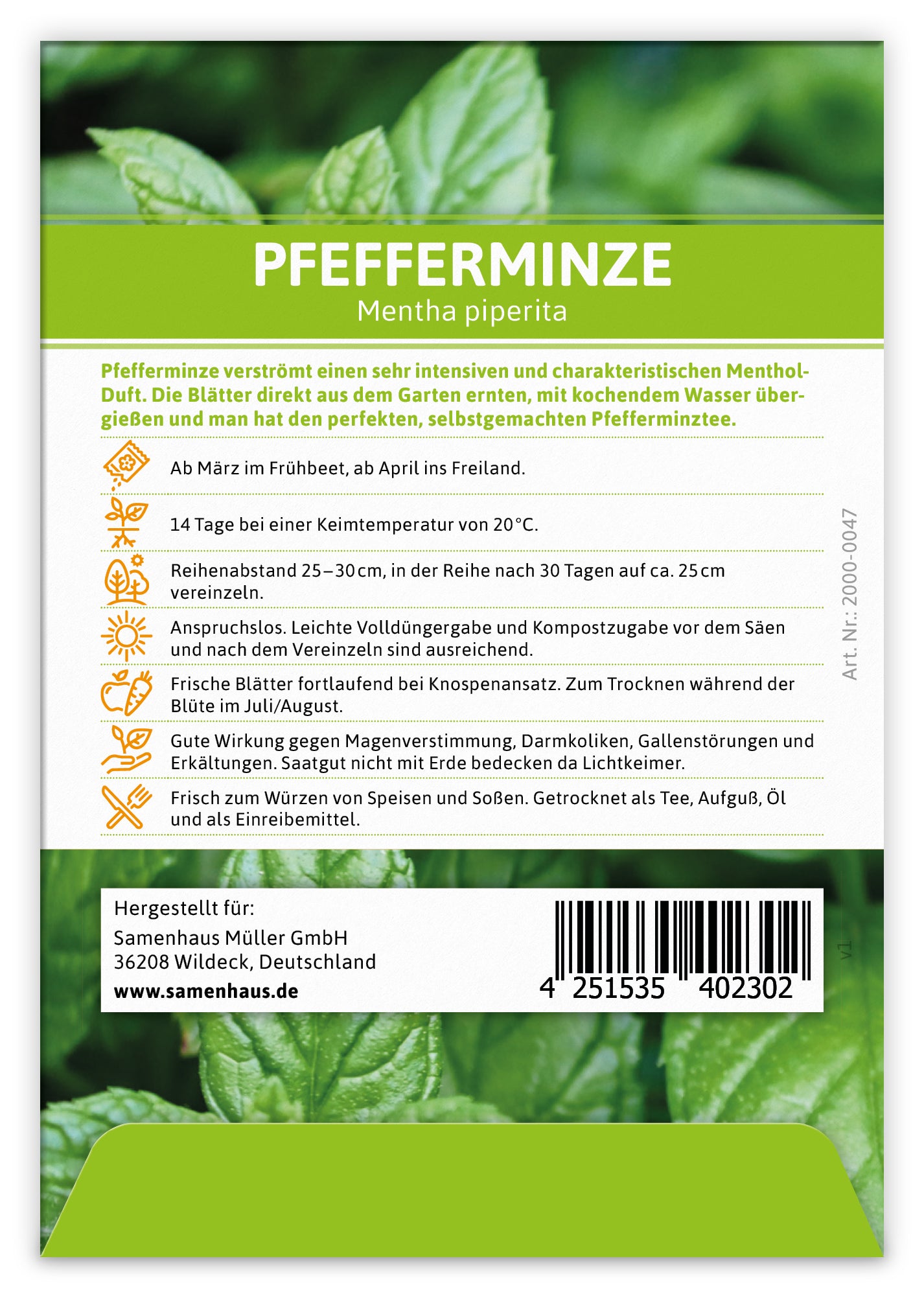 Pfefferminze