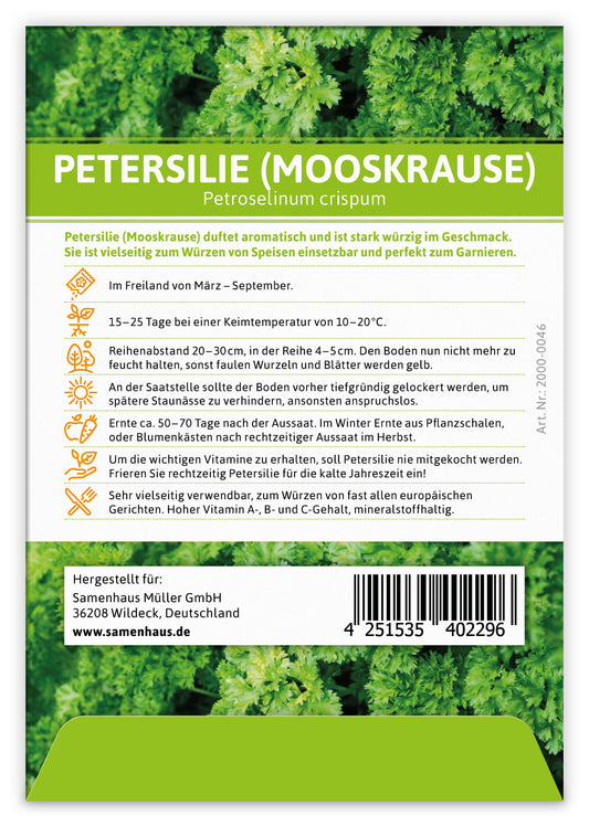 Petersilie mooskrause