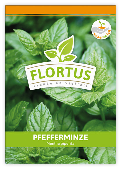 Pfefferminze