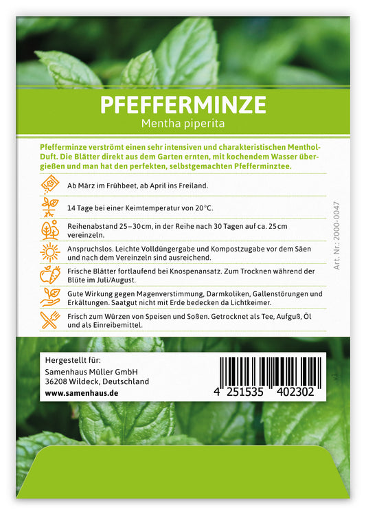Pfefferminze
