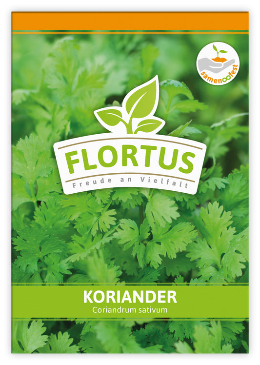 Koriander