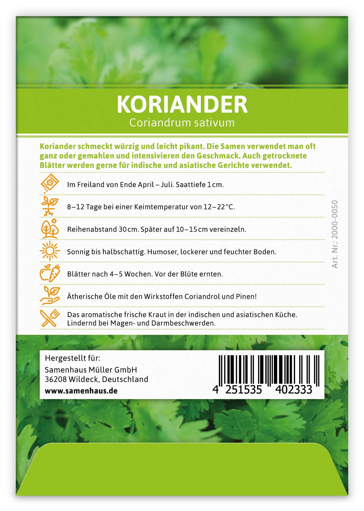 Koriander