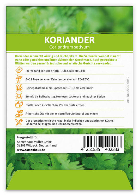 Koriander