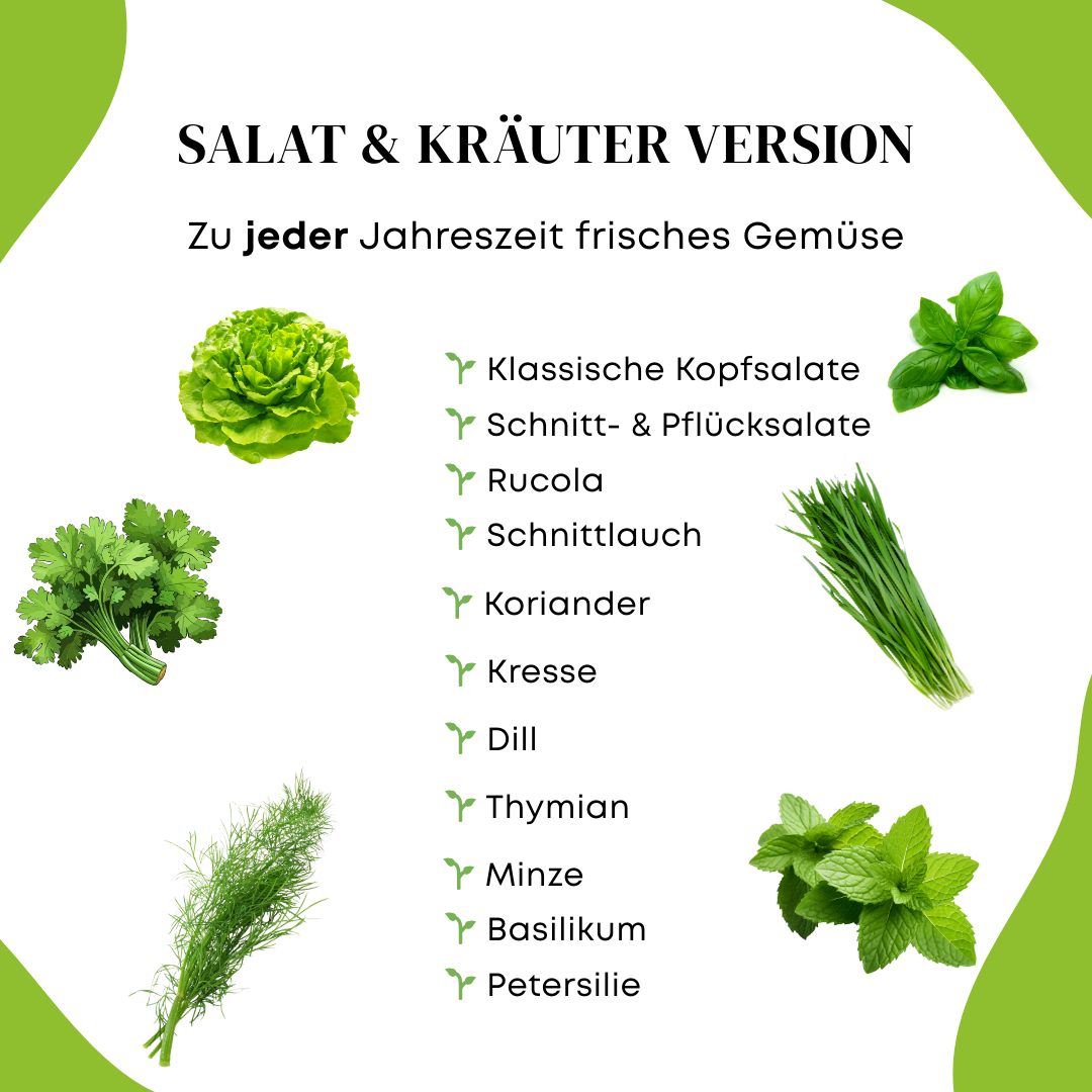 H-T MITTEL Salat & Kräuter System